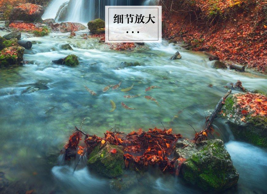 现代社会为什么年轻人不愿结婚了呢?-中国最权威的百科全书