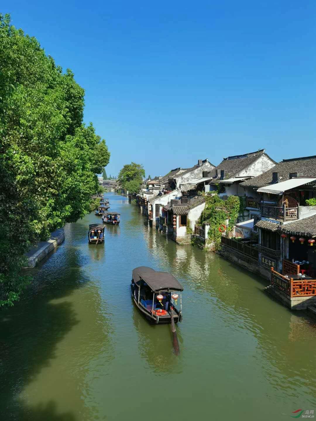 植物大战僵尸6